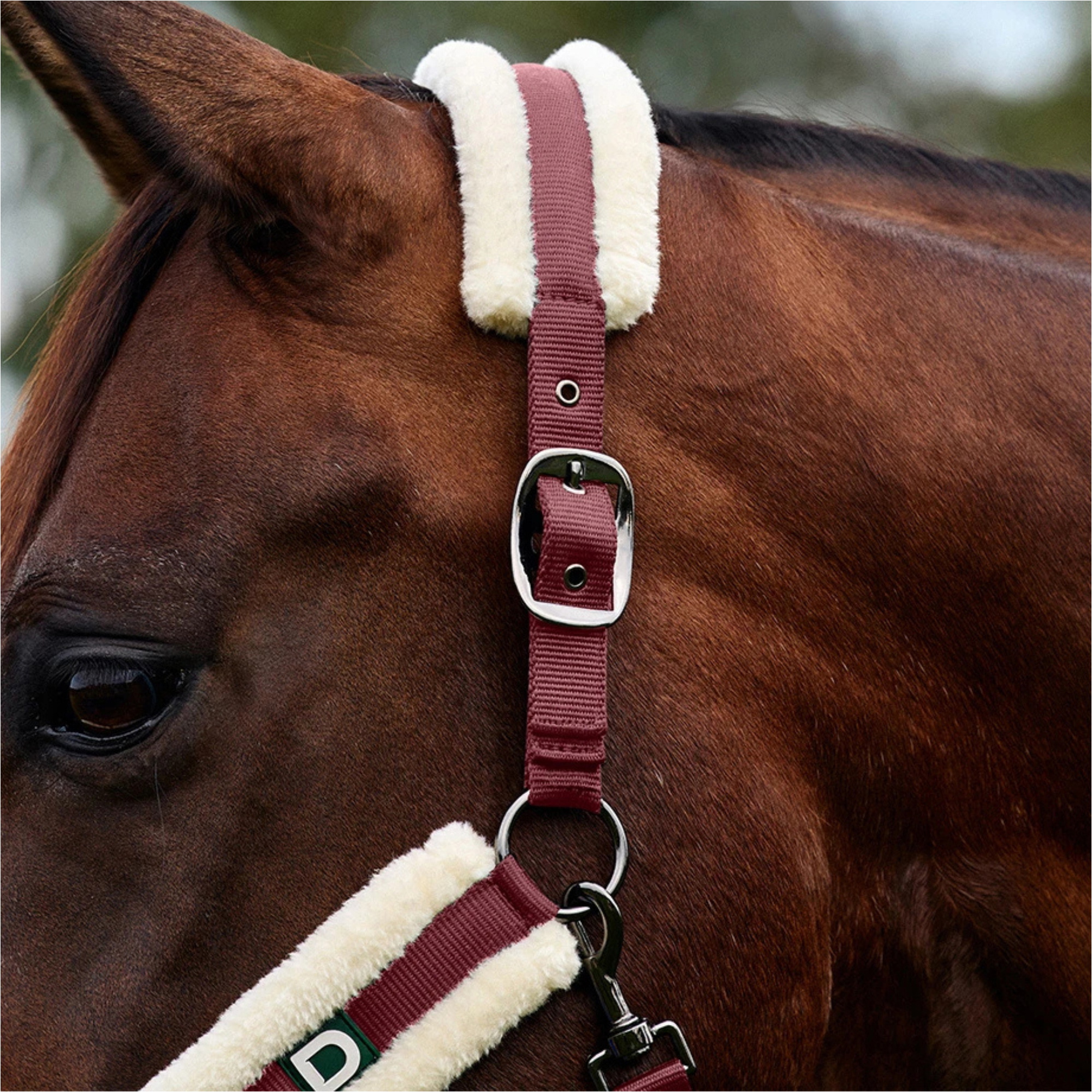 2026 Dublin Zachte Pasvorm Halster 1031034 - Burgundy